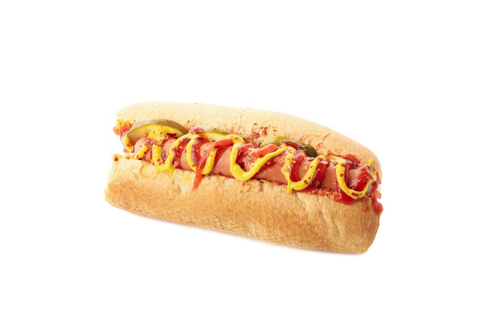 Tasty hot dog isolated on plain background