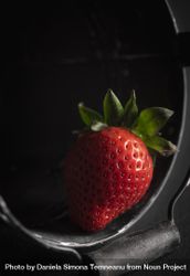 Single strawberry in a bucket bGMVe5