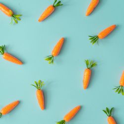 Easter pattern made with carrots on bright blue background