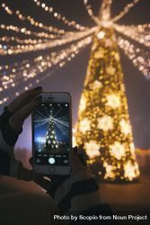 Cropped image of person taking photo of yellow lit Christmas tree with smartphone 41vWDb