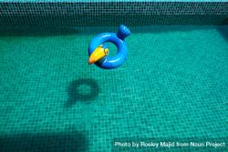 Toucan pool toy floating in pool with no people 5R8rRb