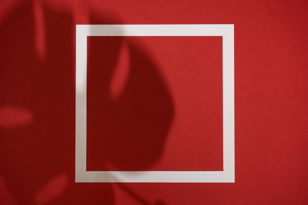Top view of tropical leaf shadow on red background with paper frame