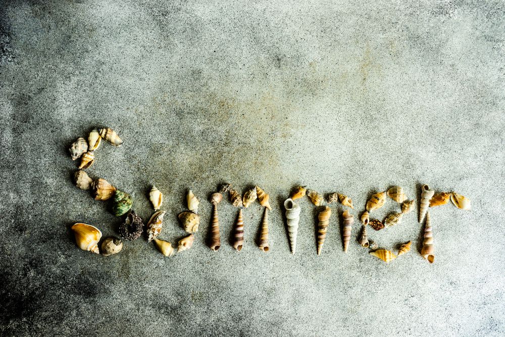 "Summer" spelled with sea shells