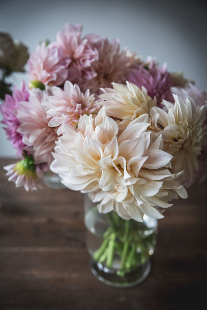 Bunches of flowers in vases on table