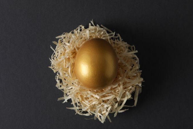 Concept of Richness and prosperity, golden eggs