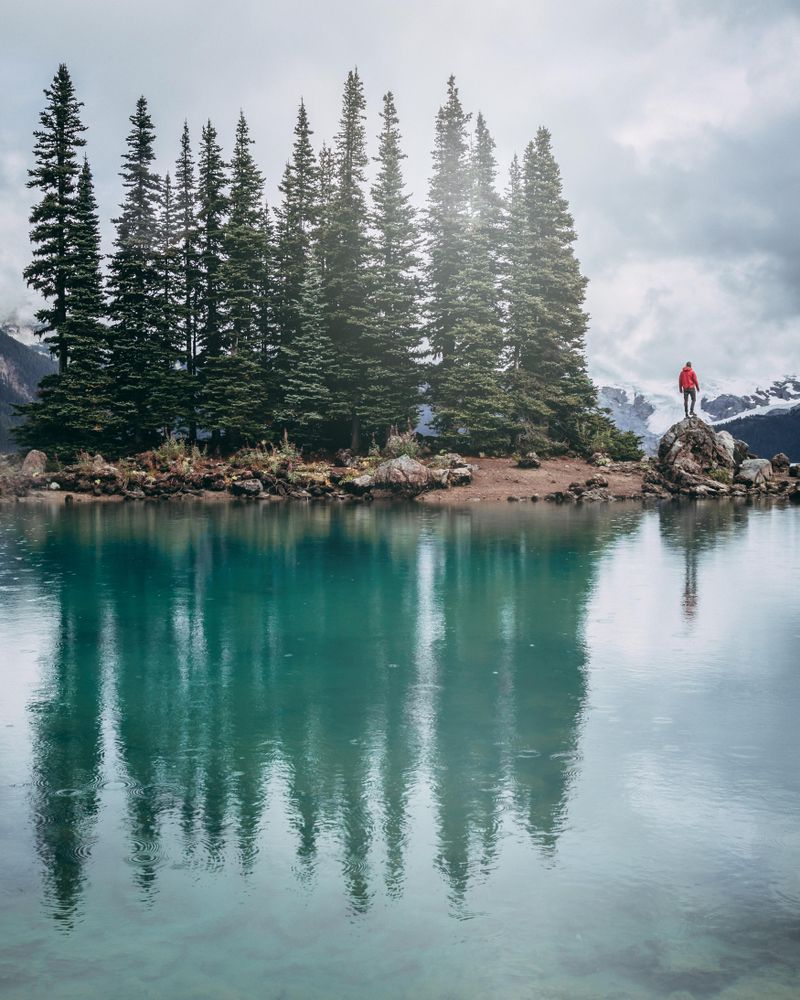 Man standing on rock near tall trees and lake