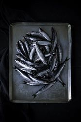 Tray with fresh fish