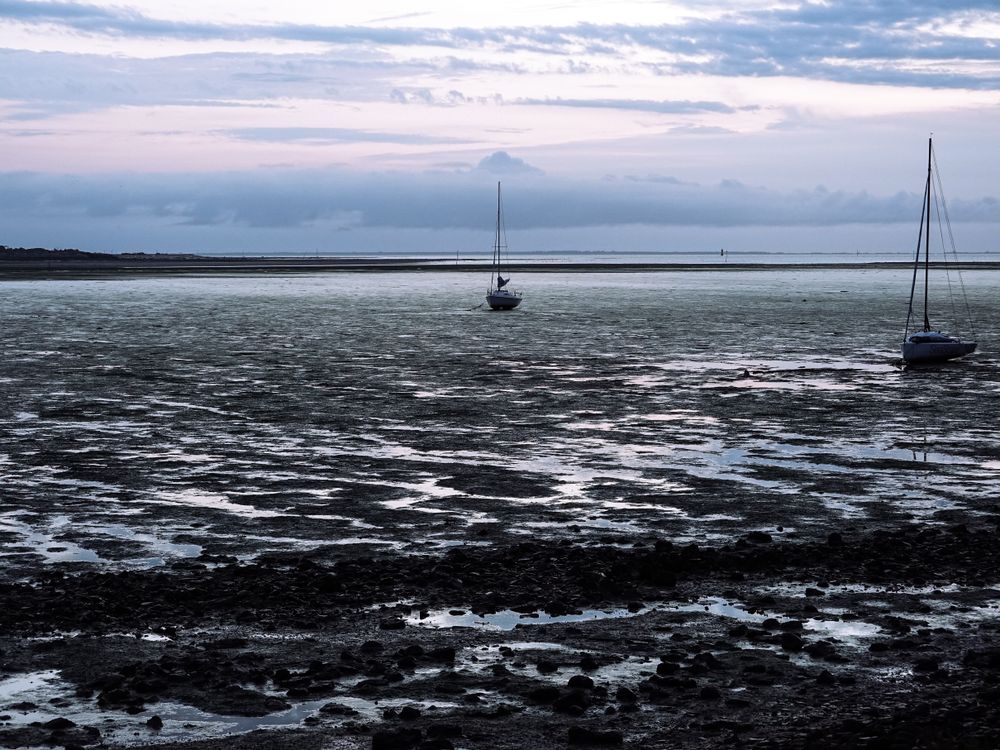 Grounded sail boats at low tide