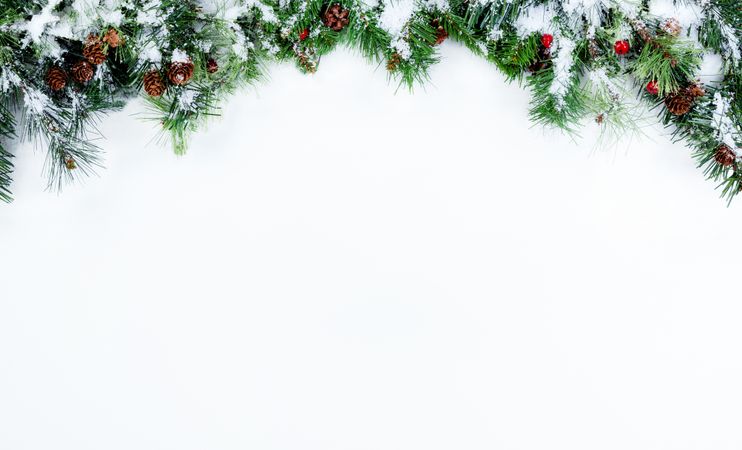Top Border of Snowy Christmas tree evergreen branches
