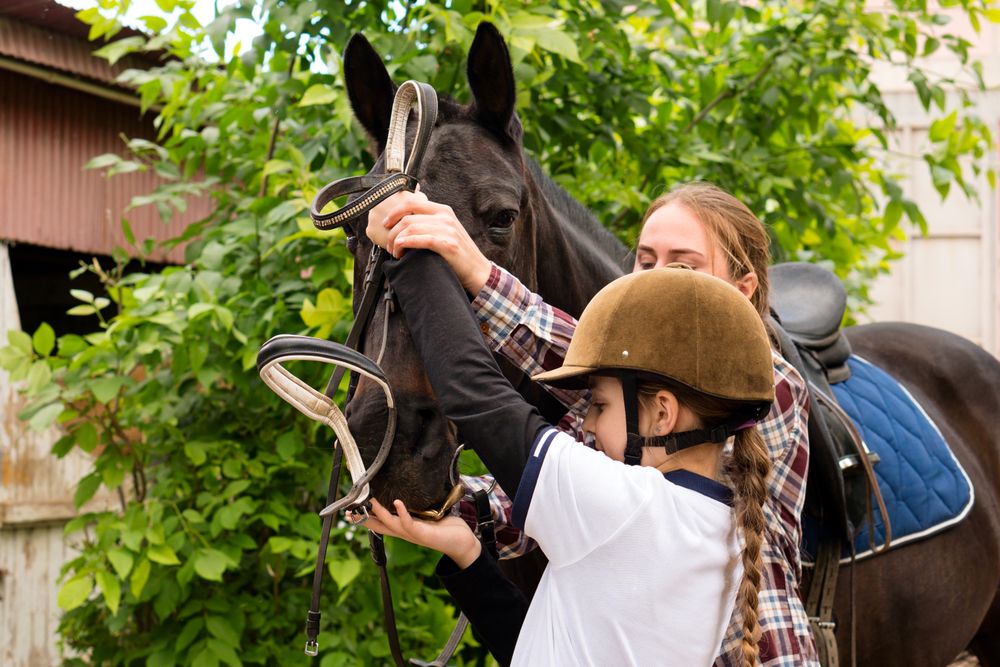 Hands adjusting a bridle on a horse.