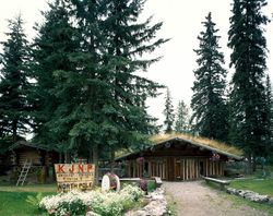 Rustic log cabin KJNP radio station building with pine trees v4NMg5
