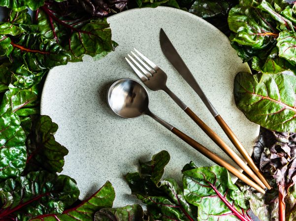 Fresh spinach leaves framing grey ceramic plate with cutlery