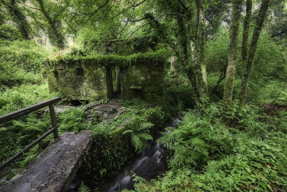 Old water mill in the forest, wooden bridge over stream