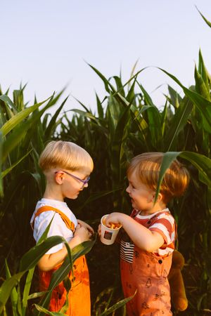Happy kids giving high five in lush agricultural field at sunset