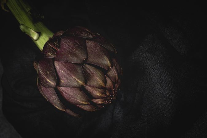 Fresh raw purple artichokes on dark background.