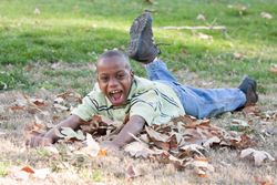 Young Boy Playing in Leaves In the Park