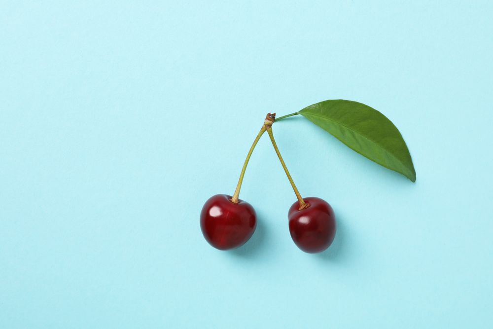 Ripe juicy cherry fruits with leaves on a blue background