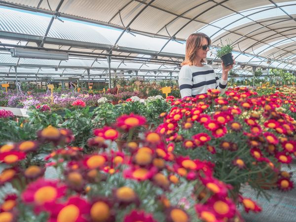 Female studying flowers in greenhouse