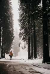 Person walking on snowy road in forest