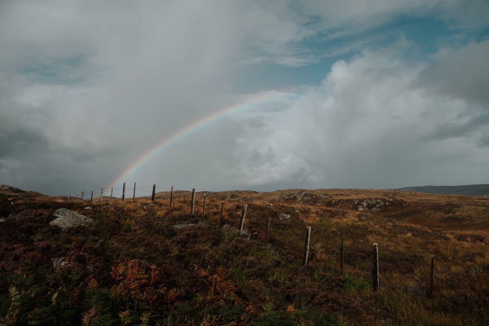 Scottish fields separated by fence in autumn