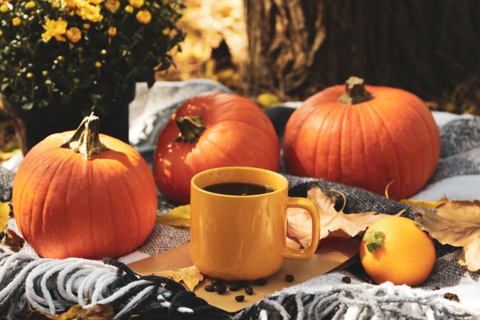 Cozy autumn concept with pumpkins and cup of coffee outdoor