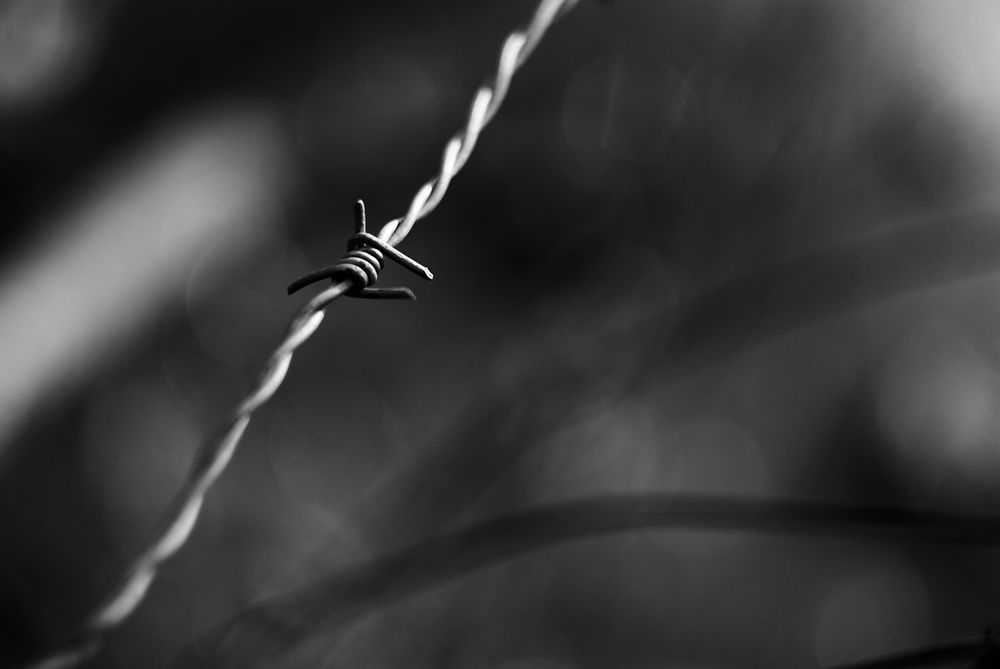Tense barbed wire