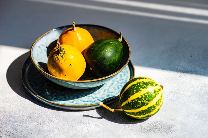 Colorful mini squash in bowl on sunny counter