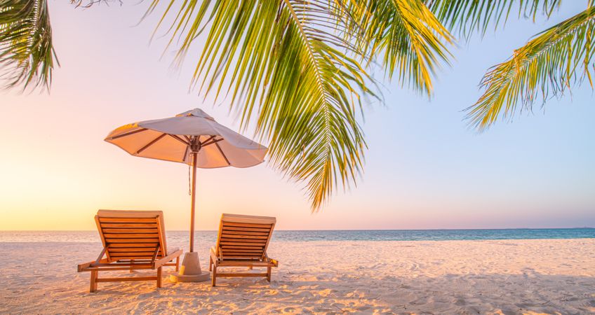 Palm leaves surrounding a tropical beach scene