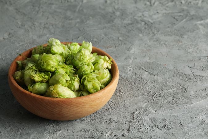 Wooden bowl with hop on gray background