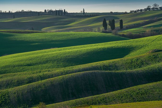 Wonderful empty green fields