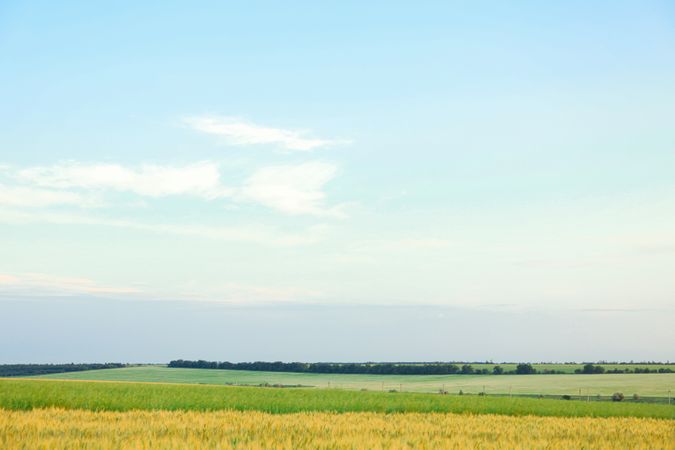 Fields against blue sky, space for text. Agriculture