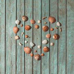 Sea shells arranged in heart shape on blue background
