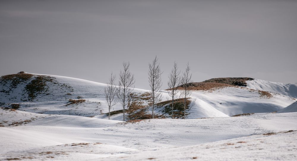 Snowy mountains covering with the fog
