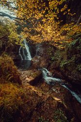 Small river and waterfall flowing in green dark beautiful forest.
