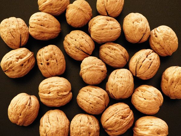 nuts