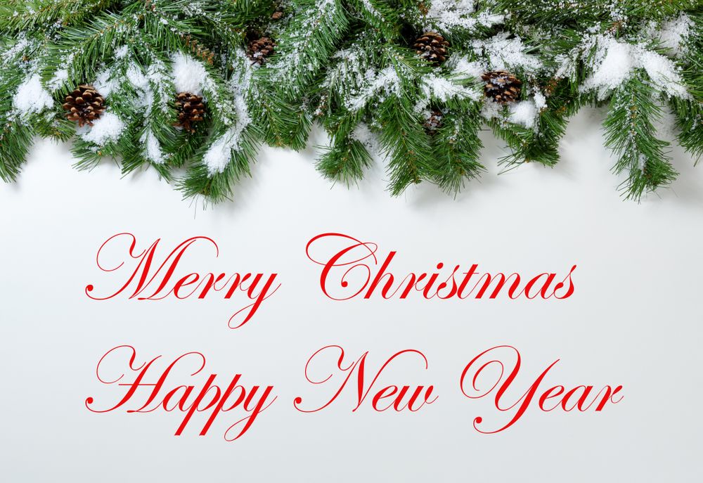 Christmas snowy tree branches and pine cones with ready to use text