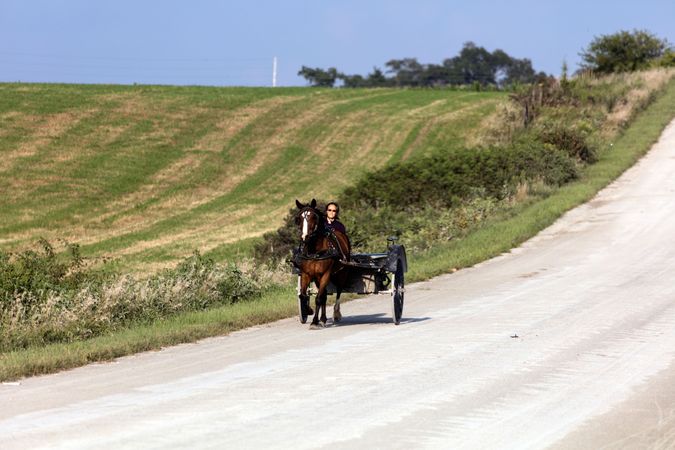 An Amish or Mennonite woman, with horse cart, Washington County, Iowa