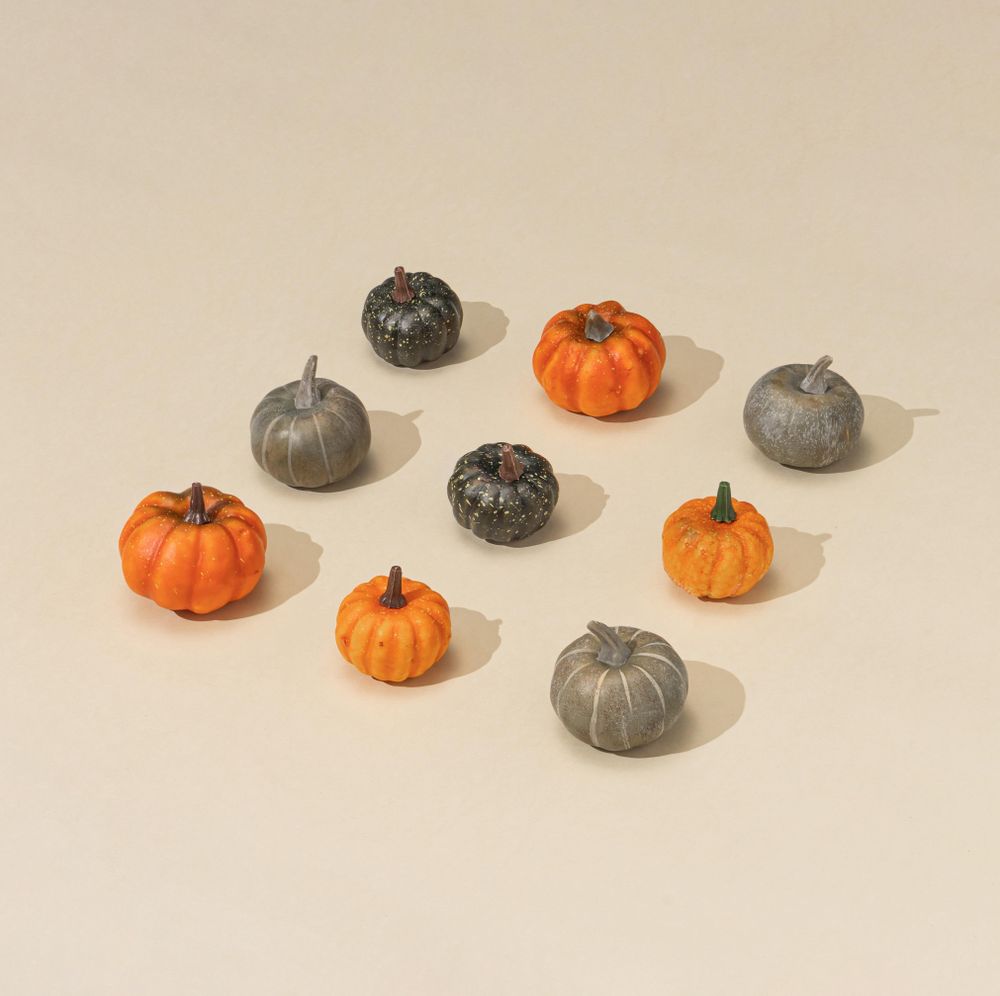 Pattern of multi-colored mini pumpkins and squash