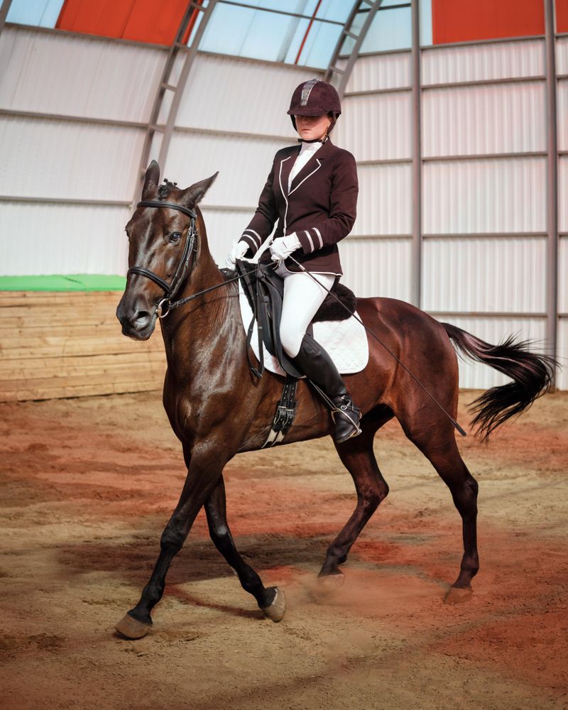 Show horse trotting in arena with horseback rider