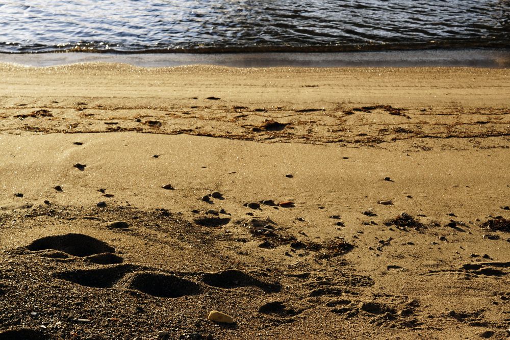 stones on wet sand on beach