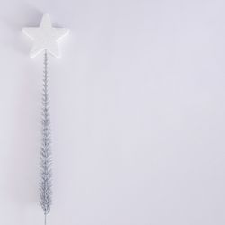 Star on a silver frozen branch