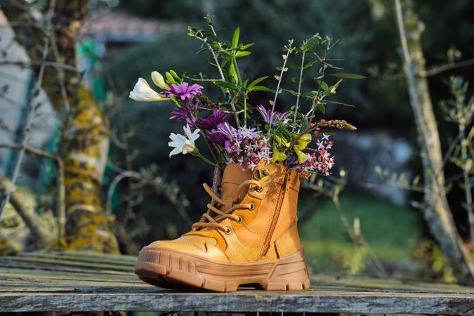 Bright flowers in boot in rural area
