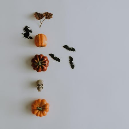 Autumn fruits, leaves and bats lined up on light background