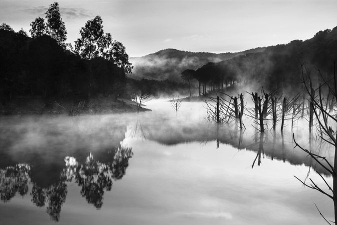 Beautiful mysterious river with trees in mist
