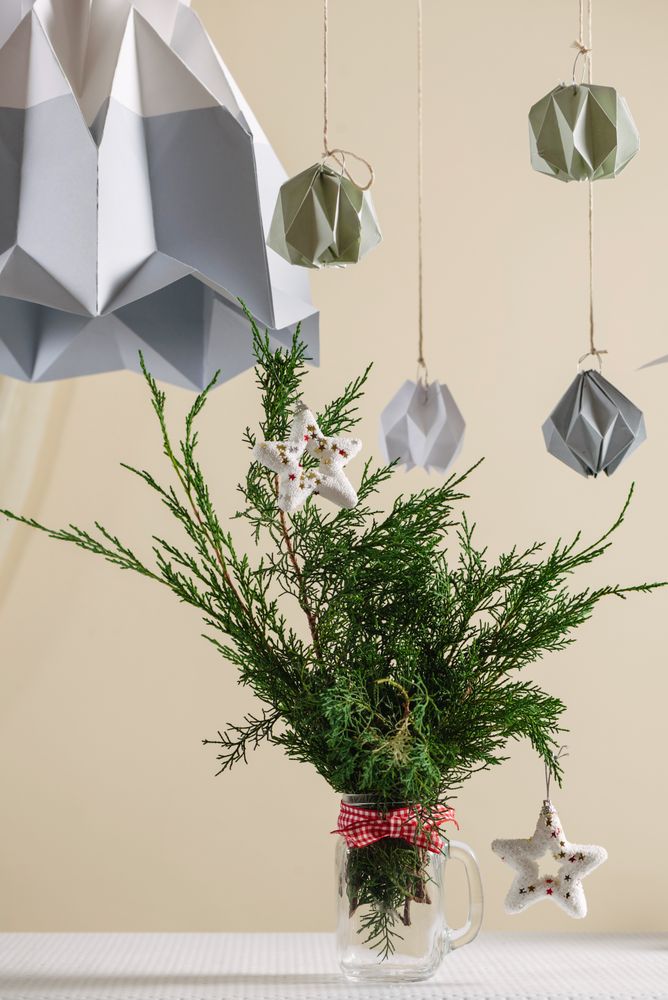 pine christmas tree in vase, with stars hanging on the table