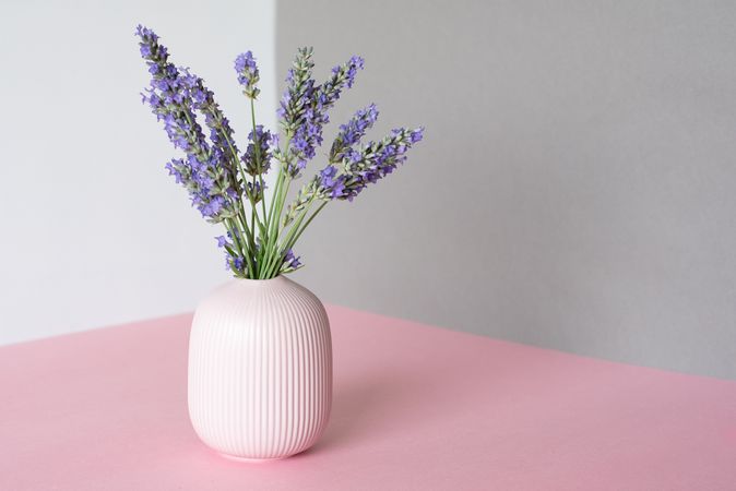 Vase of lavender flower in a multicolor background