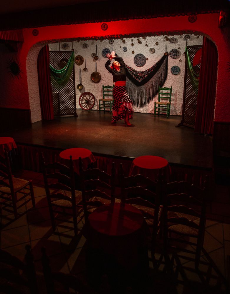 Woman dancer in flamenco costume standing in dance posture