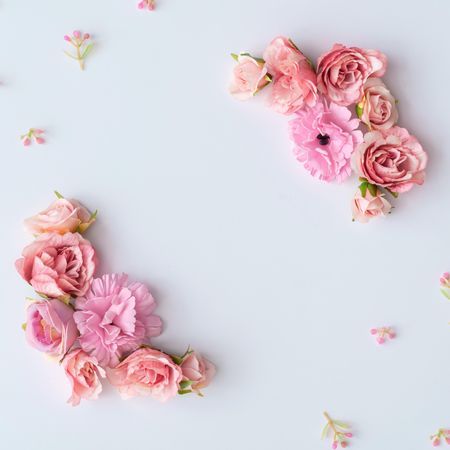 Creative layout made of colorful spring flowers and green leaves