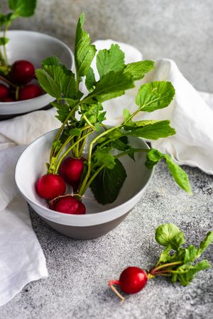 Bowl of fresh radishes