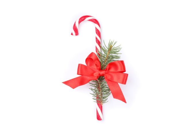 Candy cane with bow and fir branch isolated on plain background